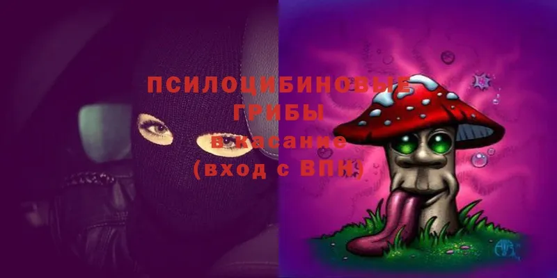 shop телеграм  купить   Киренск  Галлюциногенные грибы Psilocybine cubensis 